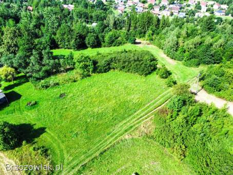 Działka na wzgórzu w Rogach