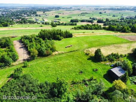 Działka na wzgórzu w Rogach