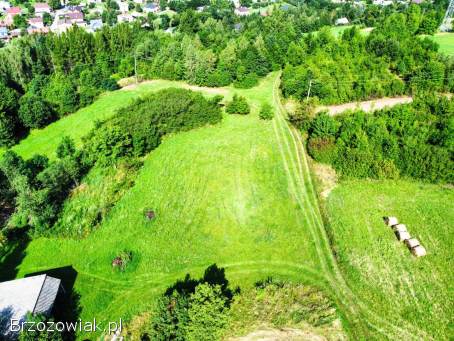 Działka na wzgórzu w Rogach