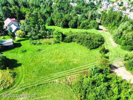 Działka na wzgórzu w Rogach