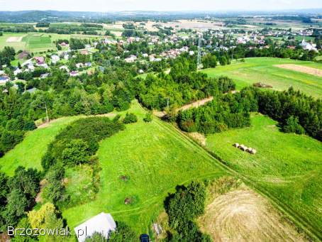 Działka na wzgórzu w Rogach