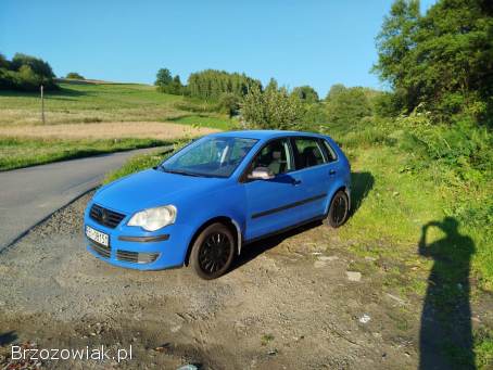 Volkswagen Polo 9n 2008