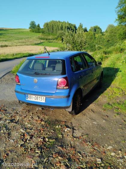 Volkswagen Polo 9n 2008