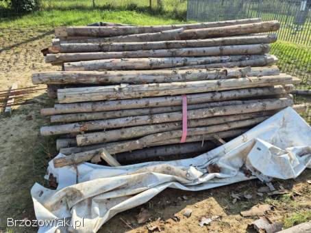 Solidne stemple budowlane