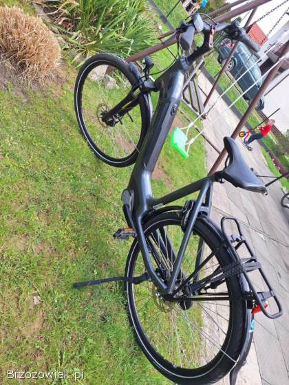 Rower elektryczny