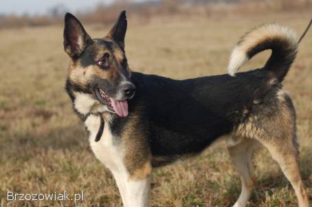 Riko -  ofiara człowieka,  pół życia za kratami,  pomocy!