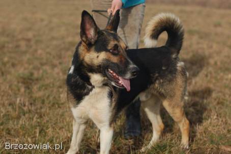 Riko -  ofiara człowieka,  pół życia za kratami,  pomocy!