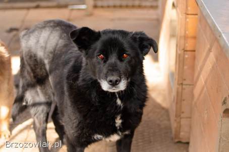 Bunia -  kolejna ofiara podłości człowieka. . .