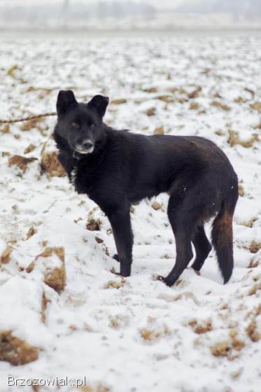 Bunia -  kolejna ofiara podłości człowieka. . .