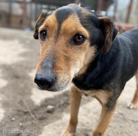 Babuleńka Tedzia szuka tego jedynego domu!