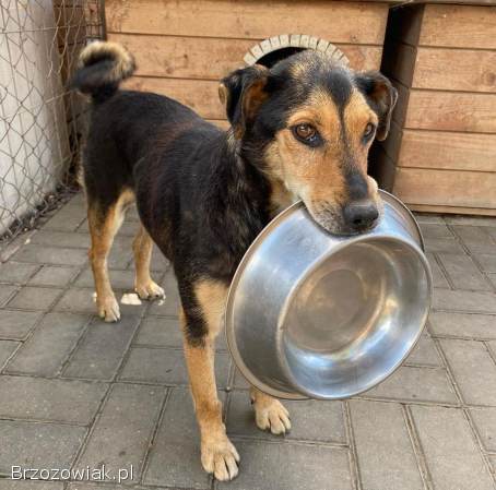 Babuleńka Tedzia szuka tego jedynego domu!