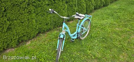 Rower Lazurowy Indiana 24