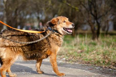 Kapral -  nikt go nigdy nie kochał. . .