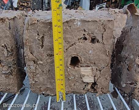 Brykieciarka -  łuparka do drewna