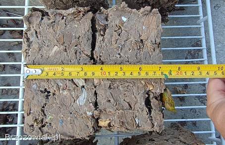 Brykieciarka -  łuparka do drewna