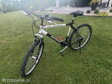 Rower Author Profile SX