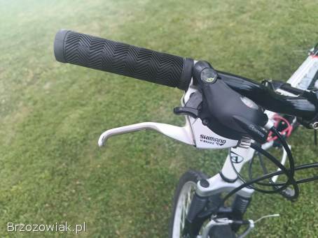 Rower Author Profile SX