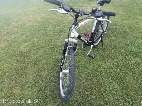 Rower Author Profile SX