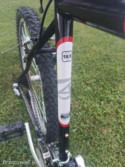 Rower Author Profile SX