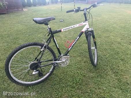 Rower Author Profile SX