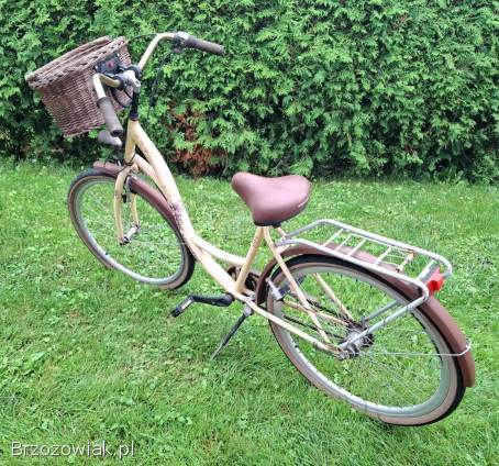 Rower z koszykiem