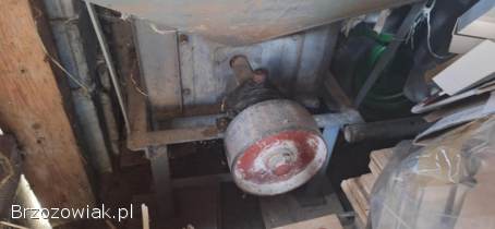 Srutownik maly sprawny