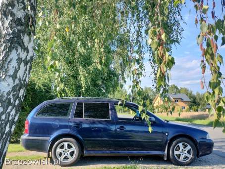 Škoda Octavia Ambiente 1,  9TDI 2003