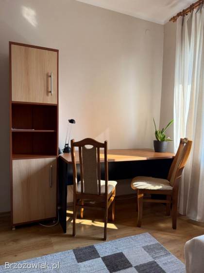 Pokój od października Rzeszów