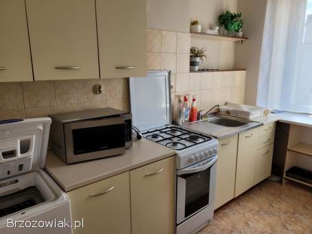 Pokój od października Rzeszów