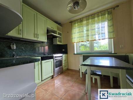 Dom z dużą szklarnią i rozsadzarką w Baryczy