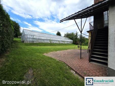 Dom z dużą szklarnią i rozsadzarką w Baryczy