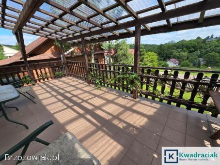 Dom z dużą szklarnią i rozsadzarką w Baryczy