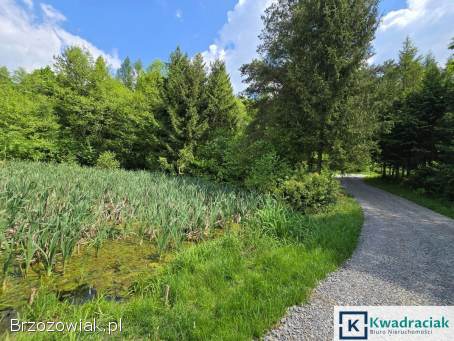 Turze Pole – trzy działki z warunkami zabudowy