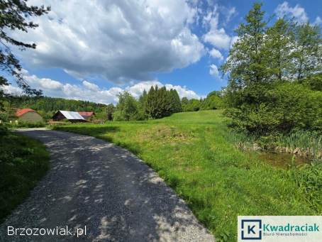 Turze Pole – trzy działki z warunkami zabudowy