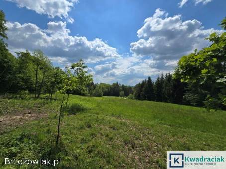 Turze Pole – trzy działki z warunkami zabudowy