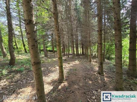 Turze Pole – trzy działki z warunkami zabudowy