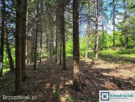 Turze Pole – trzy działki z warunkami zabudowy