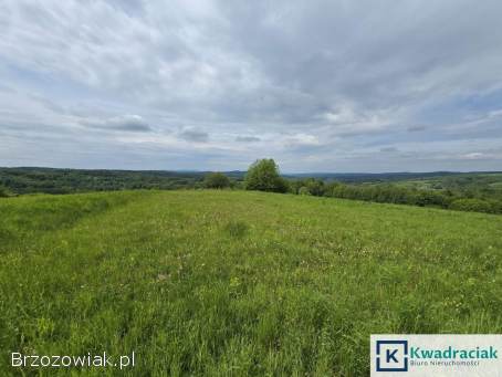 Atrakcyjne działki widokowe – Golcowa