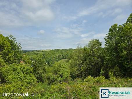 Atrakcyjne działki widokowe – Golcowa