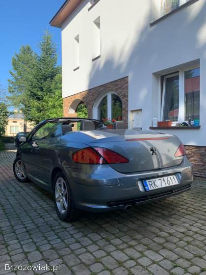 Peugeot 307 CC 2004