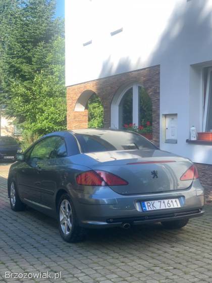 Peugeot 307 CC 2004
