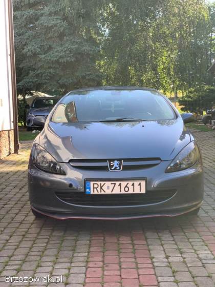 Peugeot 307 CC 2004