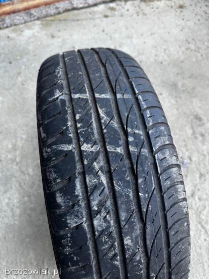 Opony Braum 205/60/16