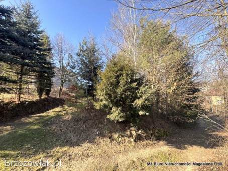 Murowany dom do generalnego remontu -  Jasienica Rosielna.