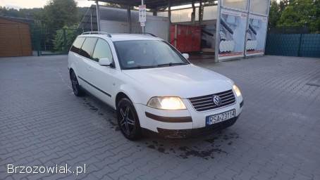 Volkswagen Passat 2002