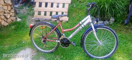 Rowery niska cena