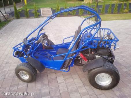 Buggy PGO 200 4x2