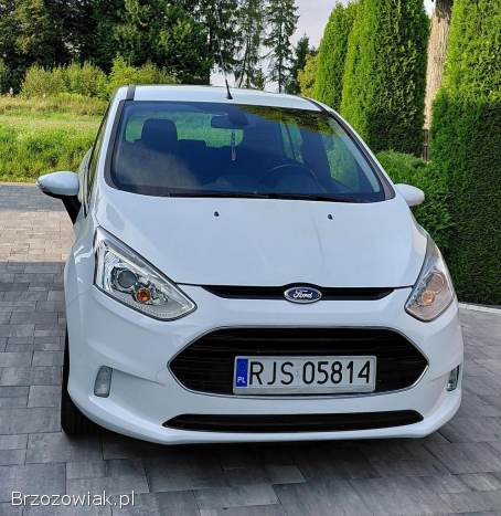 Ford B-MAX 2013