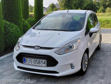 Ford B-MAX 2013
