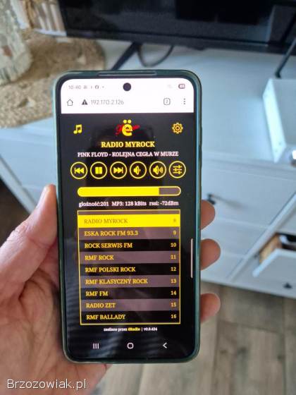 Radio internetowe wifi